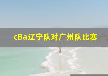 cBa辽宁队对广州队比赛