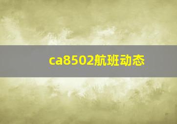 ca8502航班动态