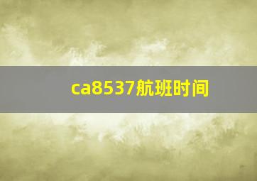 ca8537航班时间