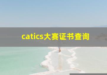 catics大赛证书查询