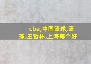 cba,中国篮球,篮球,王哲林,上海哪个好