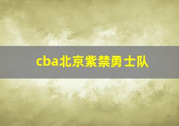 cba北京紫禁勇士队