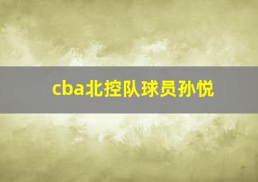 cba北控队球员孙悦