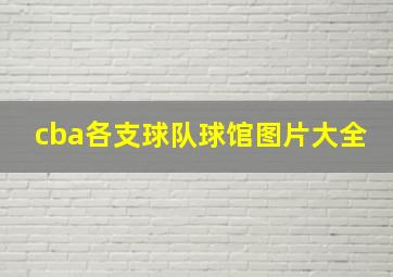 cba各支球队球馆图片大全