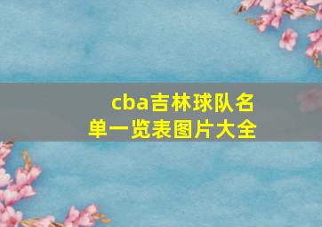 cba吉林球队名单一览表图片大全