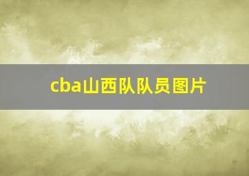 cba山西队队员图片