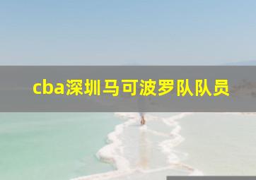 cba深圳马可波罗队队员