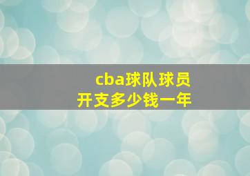 cba球队球员开支多少钱一年