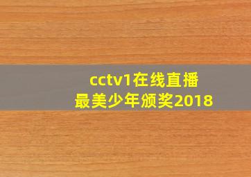 cctv1在线直播最美少年颁奖2018