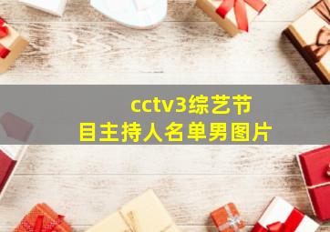 cctv3综艺节目主持人名单男图片