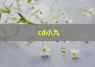 cd小九