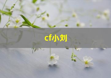 cf小刘