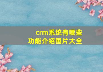 crm系统有哪些功能介绍图片大全