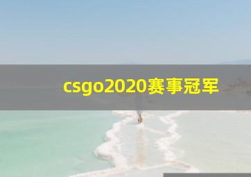 csgo2020赛事冠军