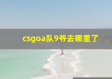 csgoa队9爷去哪里了