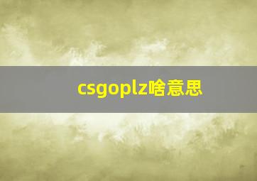 csgoplz啥意思