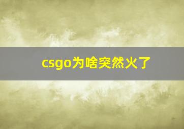 csgo为啥突然火了