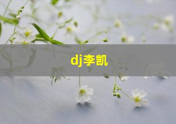 dj李凯