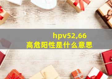 hpv52,66高危阳性是什么意思