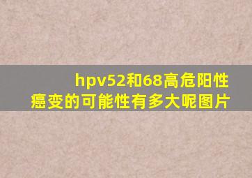 hpv52和68高危阳性癌变的可能性有多大呢图片