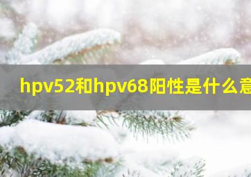 hpv52和hpv68阳性是什么意思