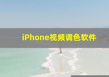 iPhone视频调色软件