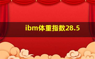 ibm体重指数28.5