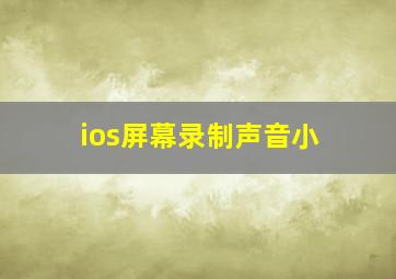 ios屏幕录制声音小