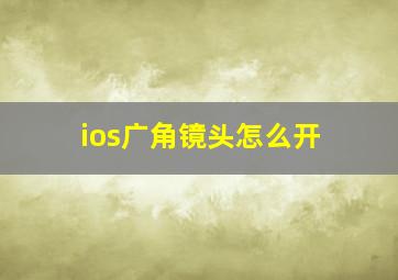 ios广角镜头怎么开