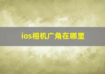 ios相机广角在哪里