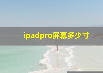 ipadpro屏幕多少寸