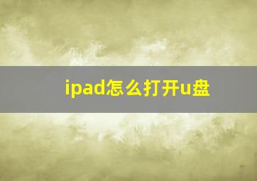 ipad怎么打开u盘