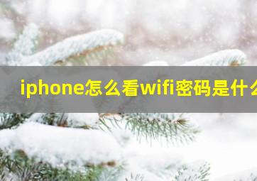 iphone怎么看wifi密码是什么