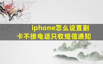 iphone怎么设置副卡不接电话只收短信通知