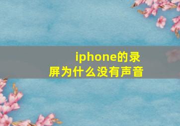 iphone的录屏为什么没有声音