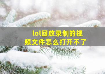 lol回放录制的视频文件怎么打开不了