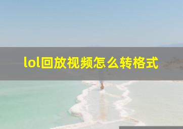 lol回放视频怎么转格式