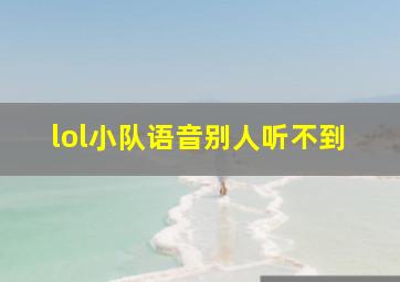 lol小队语音别人听不到