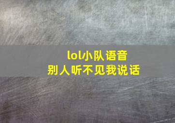 lol小队语音别人听不见我说话