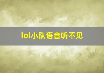 lol小队语音听不见