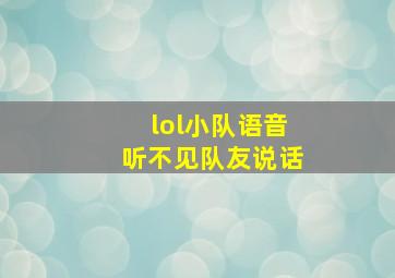 lol小队语音听不见队友说话