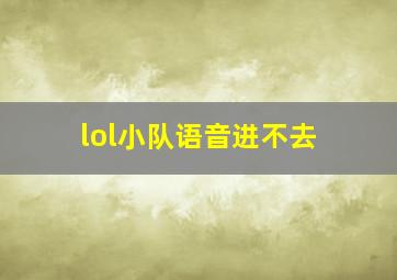 lol小队语音进不去