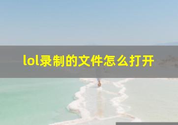 lol录制的文件怎么打开