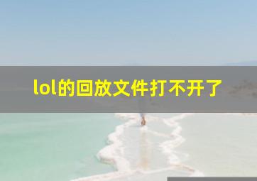 lol的回放文件打不开了