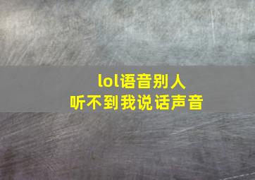 lol语音别人听不到我说话声音