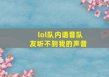 lol队内语音队友听不到我的声音