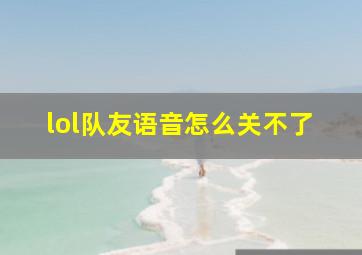 lol队友语音怎么关不了