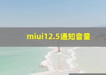 miui12.5通知音量