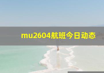 mu2604航班今日动态