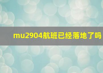 mu2904航班已经落地了吗